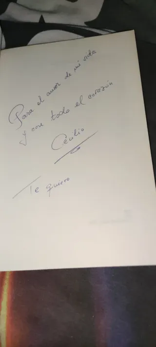 Castillos de cartón