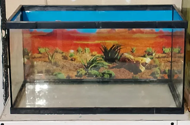 Acuario 60L Completo