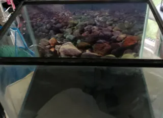 Acuario 30L completo