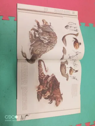 the world of the dark crystal