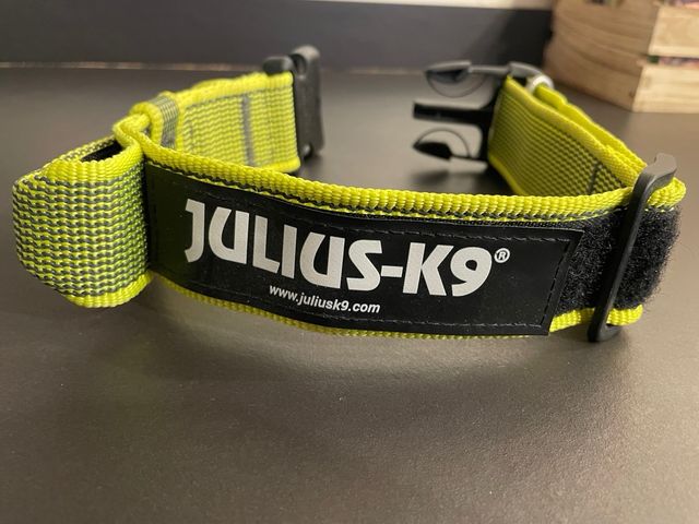 Collare Julius-K9 nero/verde