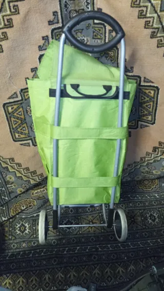 Carrito de la compra verde con flores