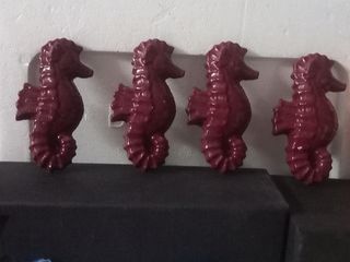 STELLE MARINE CONCHIGLIE CAVALLI