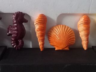 STELLE MARINE CONCHIGLIE CAVALLI