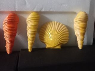 STELLE MARINE CONCHIGLIE CAVALLI