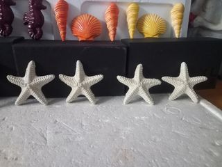 STELLE MARINE CONCHIGLIE CAVALLI