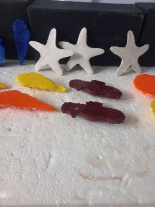 STELLE MARINE CONCHIGLIE CAVALLI