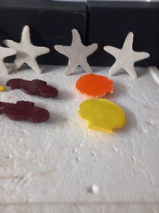 STELLE MARINE CONCHIGLIE CAVALLI