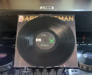 Hardcoreman - The Wizard's Voice