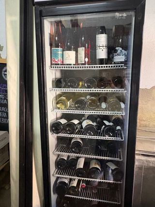 Nevera expositora de vinos
