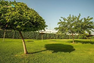 Piso en alquiler en Golf Guadiana en Badajoz