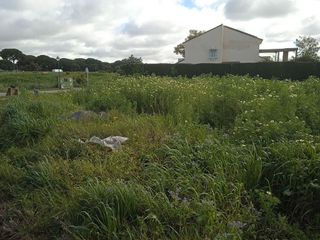 Terreno en venta en Bollullos de la Mitación