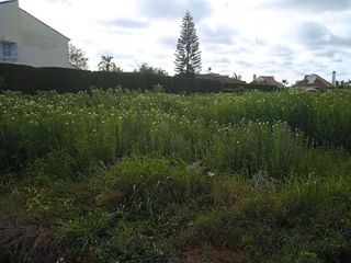 Terreno en venta en Bollullos de la Mitación