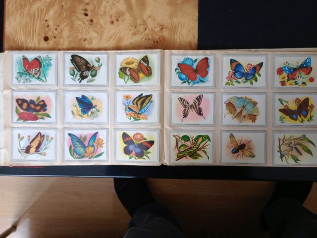 Álbum Vida y Color Colección Cromos de1960