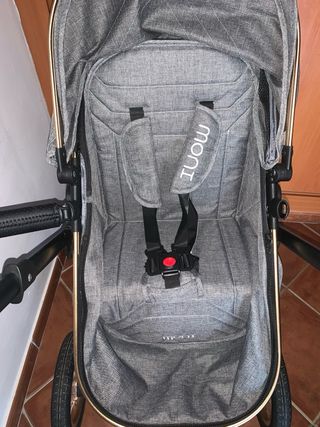Carrito de bebé gris y dorado