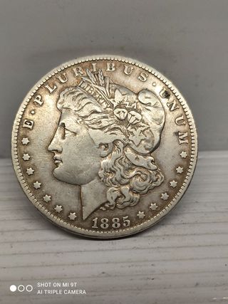 Lotto 2 Morgan 1884-1885