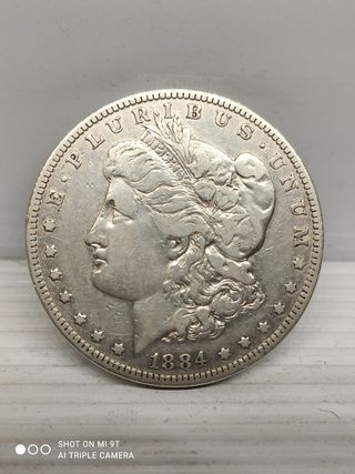 Lotto 2 Morgan 1884-1885