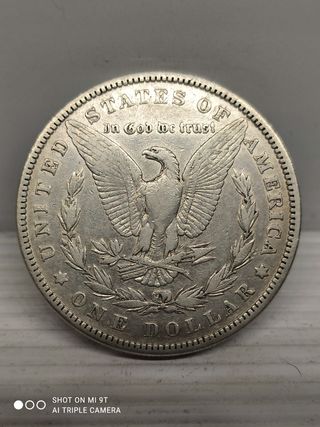 Lotto 2 Morgan 1884-1885