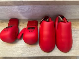 Guantes y pies de karate/boxeo rojos