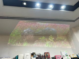 Xiaomi Mi Smart Proyector ,tiene punto blanco