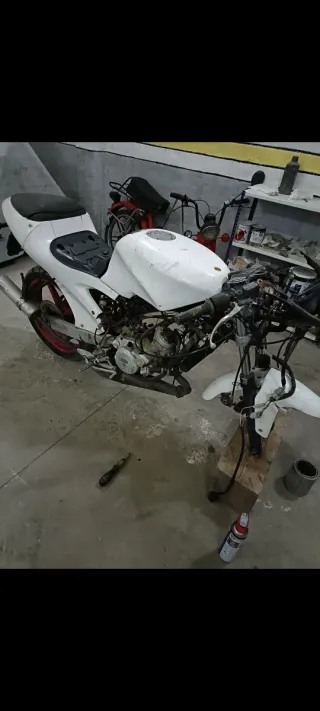 Gac Kanowey Aprilia RS 50