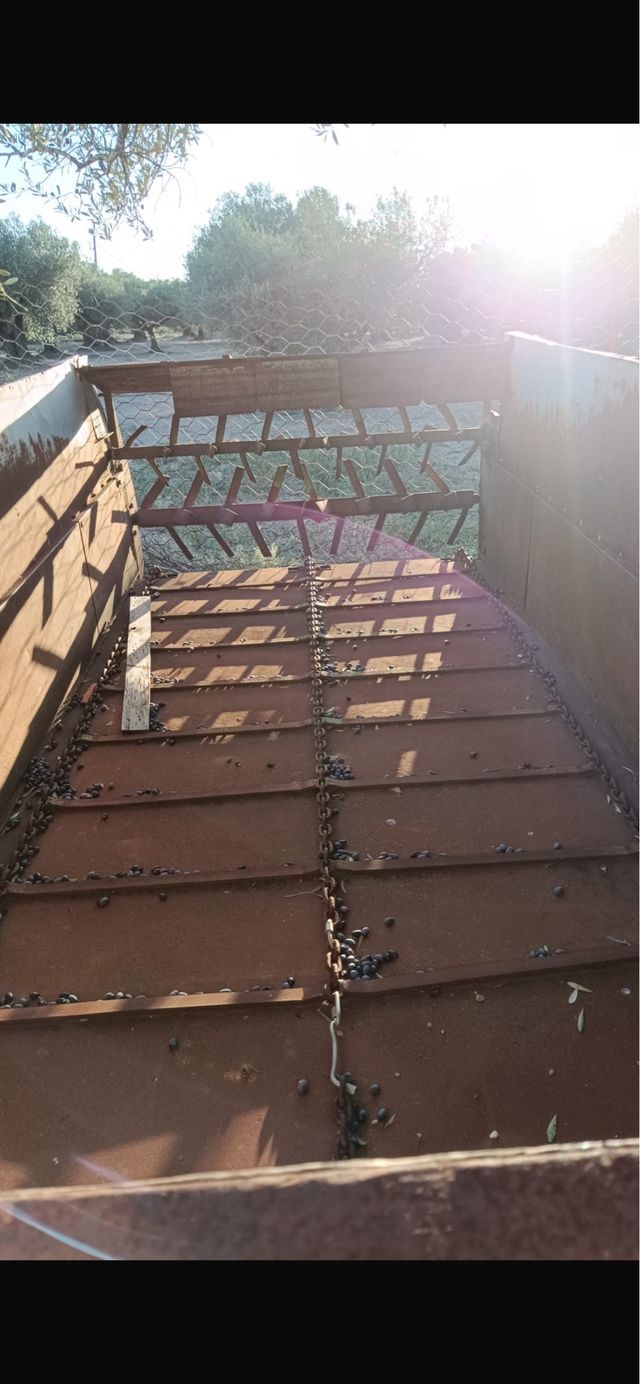 Remolque agrícola con papeles para tractor