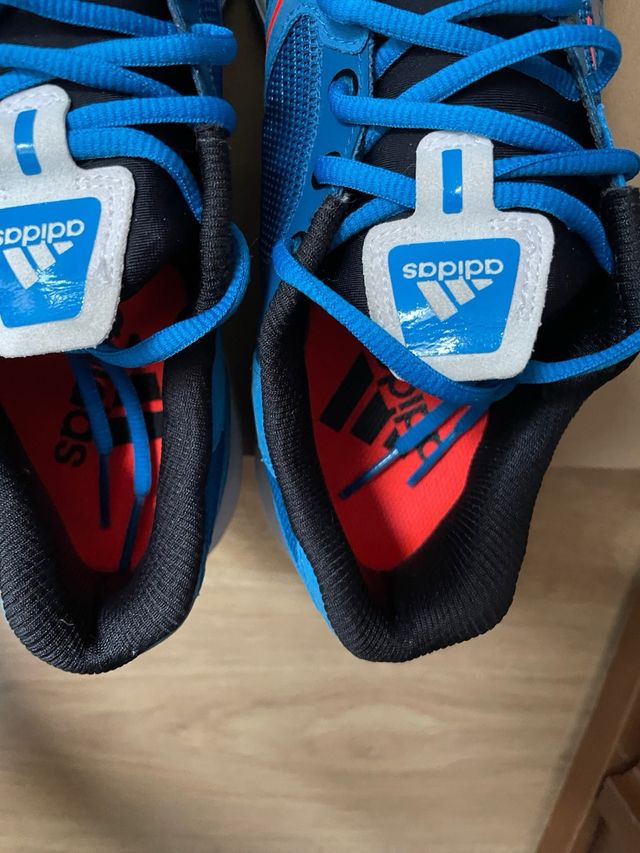 Adidas 
Entrenamiento Azul