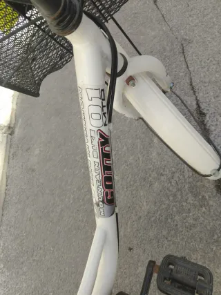 Triciclo Gotty 01 MTB Adultos