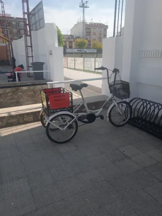 Triciclo Gotty 01 MTB Adultos