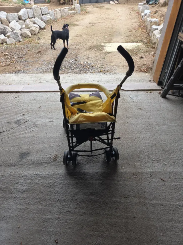 Silla de paseo amarilla
