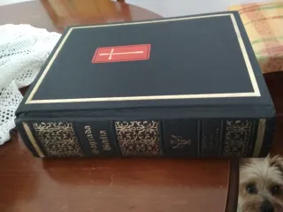 Sagrada Biblia+Complemento Ecumenico