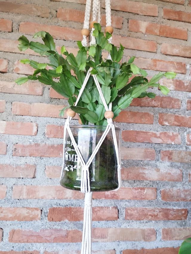 Colgante Macramé 120cm para plantas