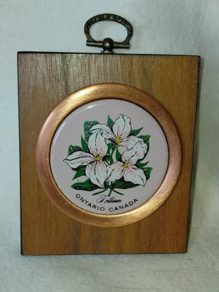 Placa Trillium Ontario Canadá