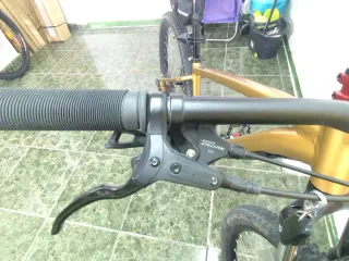 Bicicleta de Montaña Dorada