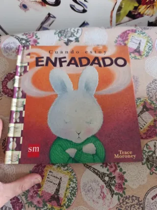 Cuando estoy enfadado (Spanish Edition)