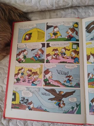 Nosotros Los Jovenes Castores 1 2 3 Y 4 (Obra C...