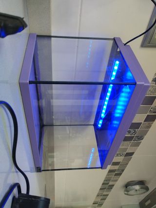 Acuario completo con accesorios