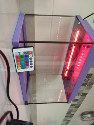 Acuario completo con accesorios