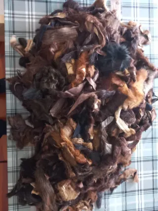 Residui di Pellicce Varie, Chiusura Attività