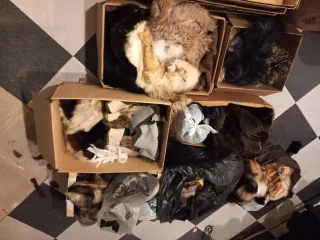 Residui di Pellicce Varie, Chiusura Attività