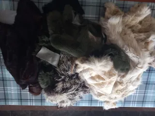 Residui di Pellicce Varie, Chiusura Attività