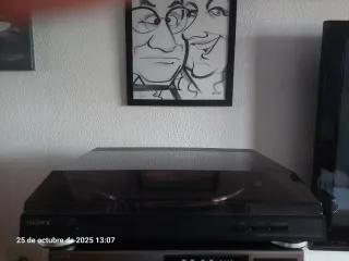 Tocadiscos Sony Negro PS-LX250H