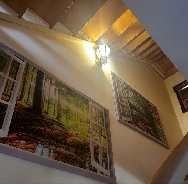 Conjunto lienzos naturaleza 2 unidades ( 40 euros)