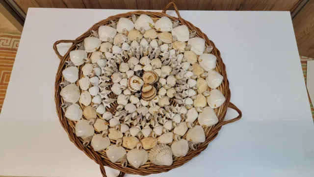 Bandeja decorativa de mimbre con conchas