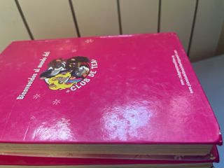 lote de libros Tea Stilton