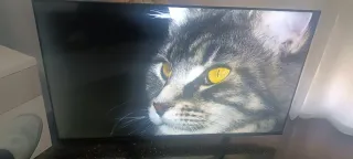 Televisión Negra Hisense 55A63H