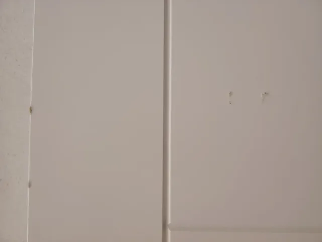 2 Puertas Macizas Pino Lacadas Blanco