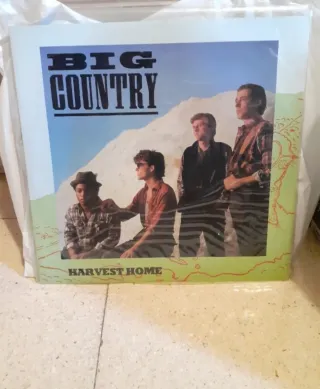 Lote de diez discos de vinilo