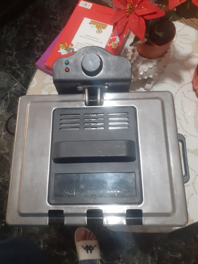 Freidora Eléctrica Grande