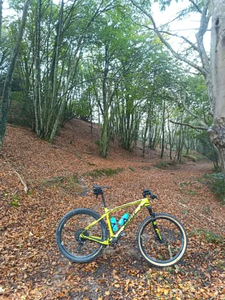 Bicicleta Giant BTT
